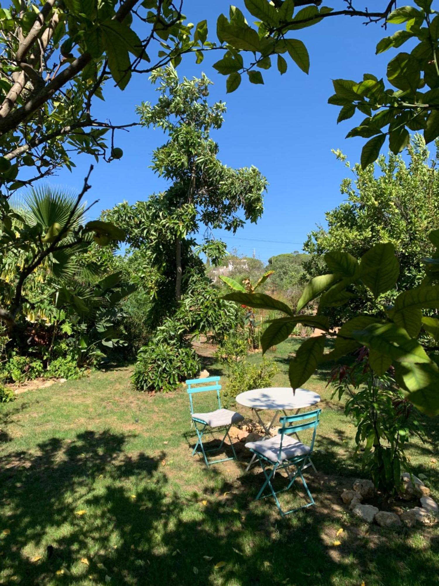 A Tranquil Garden Apartment, Carvoeiro - Benagil Zewnętrze zdjęcie