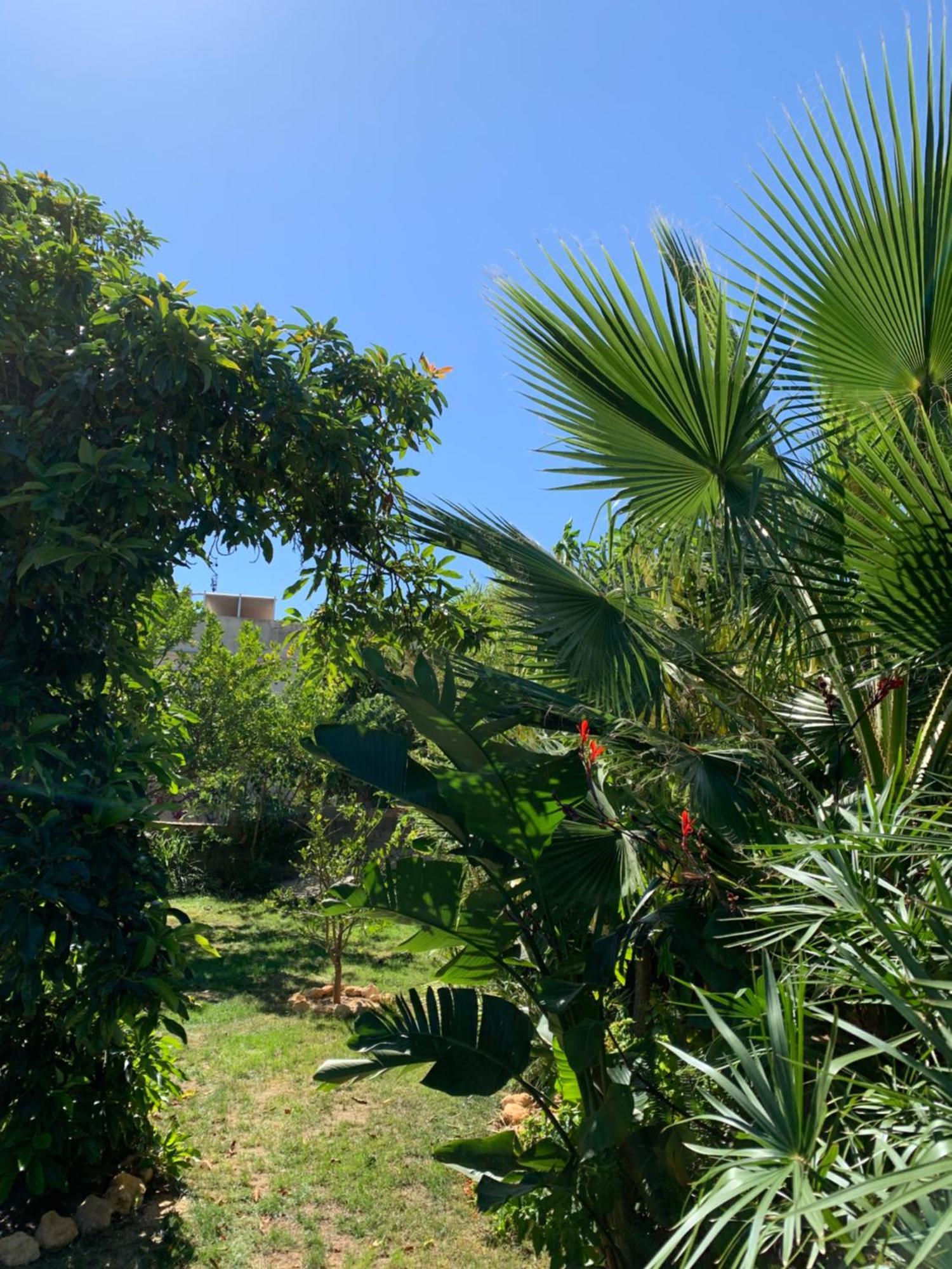 A Tranquil Garden Apartment, Carvoeiro - Benagil Zewnętrze zdjęcie